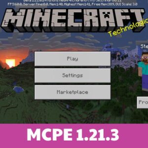 Minecraft 1.21.3