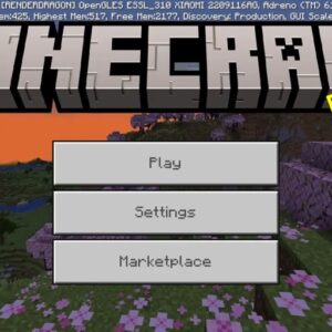 Minecraft 1.21.73